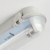 Ilena Iluminación exterior, Lámpara de baño, Plafones LED Gris, 1 luz