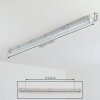 Ilena Plafon de exterior, Iluminación exterior, Lámpara de baño, Focos de obra, Plafones LED Gris, 1 luz