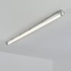 Ilena Plafon de exterior, Iluminación exterior, Lámpara de baño, Focos de obra, Plafones LED Gris, 1 luz