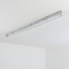 Ilena Plafon de exterior, Iluminación exterior, Lámpara de baño, Focos de obra, Plafones LED Gris, 1 luz