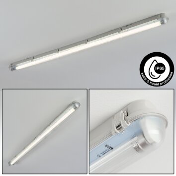 Ilena Plafon de exterior, Iluminación exterior, Lámpara de baño, Focos de obra, Plafones LED Gris, 1 luz