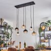 Koyoto Lámparas suspendidas, Luminarias esféricas, Lámparas colgantes Colores ámbar, Transparente, Ahumado, 6 luces