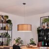 Pilaru Lámparas suspendidas, Lámparas colgantes Cromo, Níquel-mate, 1 luz