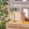 Salgadinho Lámpara de mesa de exterior, Lámpara de baño, Lámparas de mesa LED Verde, 1 luz