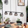 Koyoto Lámparas suspendidas, Luminarias esféricas, Lámparas colgantes Ahumado, 4 luces