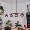 Koyoto Lámparas suspendidas, Luminarias esféricas, Lámparas colgantes Ahumado, 4 luces