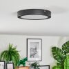 Isela Plafones LED Negro, 1 luz