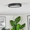 Isela Plafones LED Negro, 1 luz