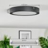 Isela Plafones LED Negro, 1 luz