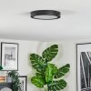 Isela Plafones LED Negro, 1 luz