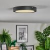 Isela Plafones LED Negro, 1 luz