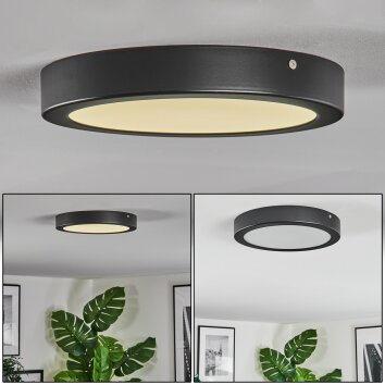 Isela Plafones LED Negro, 1 luz