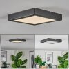 Isela Plafones LED Negro, 1 luz