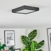 Isela Plafones LED Negro, 1 luz