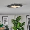 Isela Plafones LED Negro, 1 luz