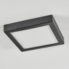 Isela Plafones LED Negro, 1 luz