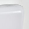 Gilan Aplique de exterior, Apliques LED Plata, 1 luz