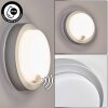 Jelad Aplique de exterior, Apliques LED Plata, 1 luz, Sensor de movimiento