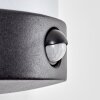 Heran Aplique de exterior, Apliques LED Negro, 1 luz, Sensor de movimiento
