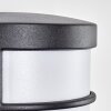 Heran Aplique de exterior, Apliques LED Negro, 1 luz, Sensor de movimiento