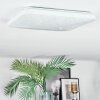 Loden Plafones LED Blanca, 1 luz