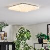Loden Plafones LED Blanca, 1 luz
