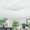 Loden Plafones LED Blanca, 1 luz