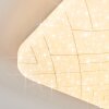 Loden Plafones LED Blanca, 1 luz