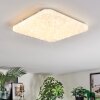 Loden Plafones LED Blanca, 1 luz