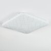 Loden Plafones LED Blanca, 1 luz