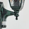 Naofe Aplique de exterior, Apliques Verde, Negro, 1 luz, Sensor de movimiento