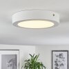 Finsrud Lámpara de Techo LED Blanca, 1 luz