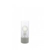 Eglo TORVISCO 1 Lámpara de mesa Gris, 1 luz