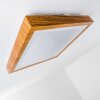 Sora Wood Lámpara de Techo LED Madera clara, 1 luz