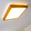 Sora Wood Lámpara de Techo LED Madera clara, 1 luz