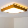 Sora Wood Lámpara de Techo LED Madera clara, 1 luz