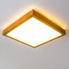 Sora Wood Lámpara de Techo LED Madera clara, 1 luz