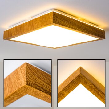 Sora Wood Lámpara de Techo LED Madera clara, 1 luz