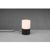 Trio-Leuchten Ary Lámpara de mesa Negro, 1 luz
