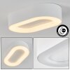 Paleroo Lámpara de techo para exterior LED Blanca, 1 luz