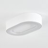 Paleroo Lámpara de techo para exterior LED Blanca, 1 luz
