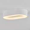 Paleroo Lámpara de techo para exterior LED Blanca, 1 luz
