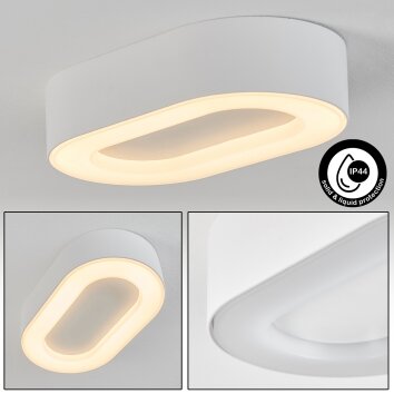 Paleroo Lámpara de techo para exterior LED Blanca, 1 luz