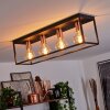 Malao Lámpara de Techo Oro rosa, Negro, 4 luces