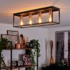 Malao Lámpara de Techo Oro rosa, Negro, 4 luces