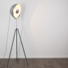 Maloy Lámpara de Pie Gris, 1 luz