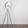 Maloy Lámpara de Pie Gris, 1 luz
