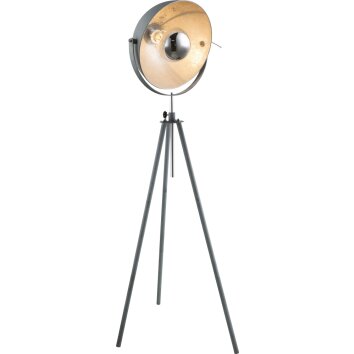 Globo MIRAM Lámpara de Pie Gris, 1 luz