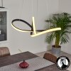 Ignal Lámpara Colgante LED Negro, 1 luz