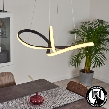 Ignal Lámpara Colgante LED Negro, 1 luz